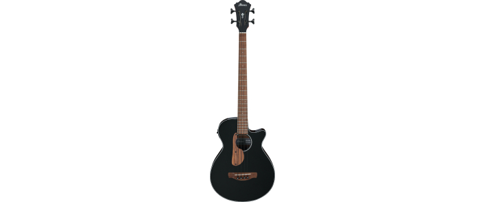 IBANEZ AEGB24E-BKH Бас-гітара акустична