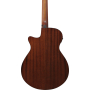 IBANEZ AEGB24E-BKH Бас-гітара акустична