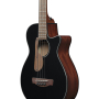 IBANEZ AEGB24E-BKH Бас-гітара акустична