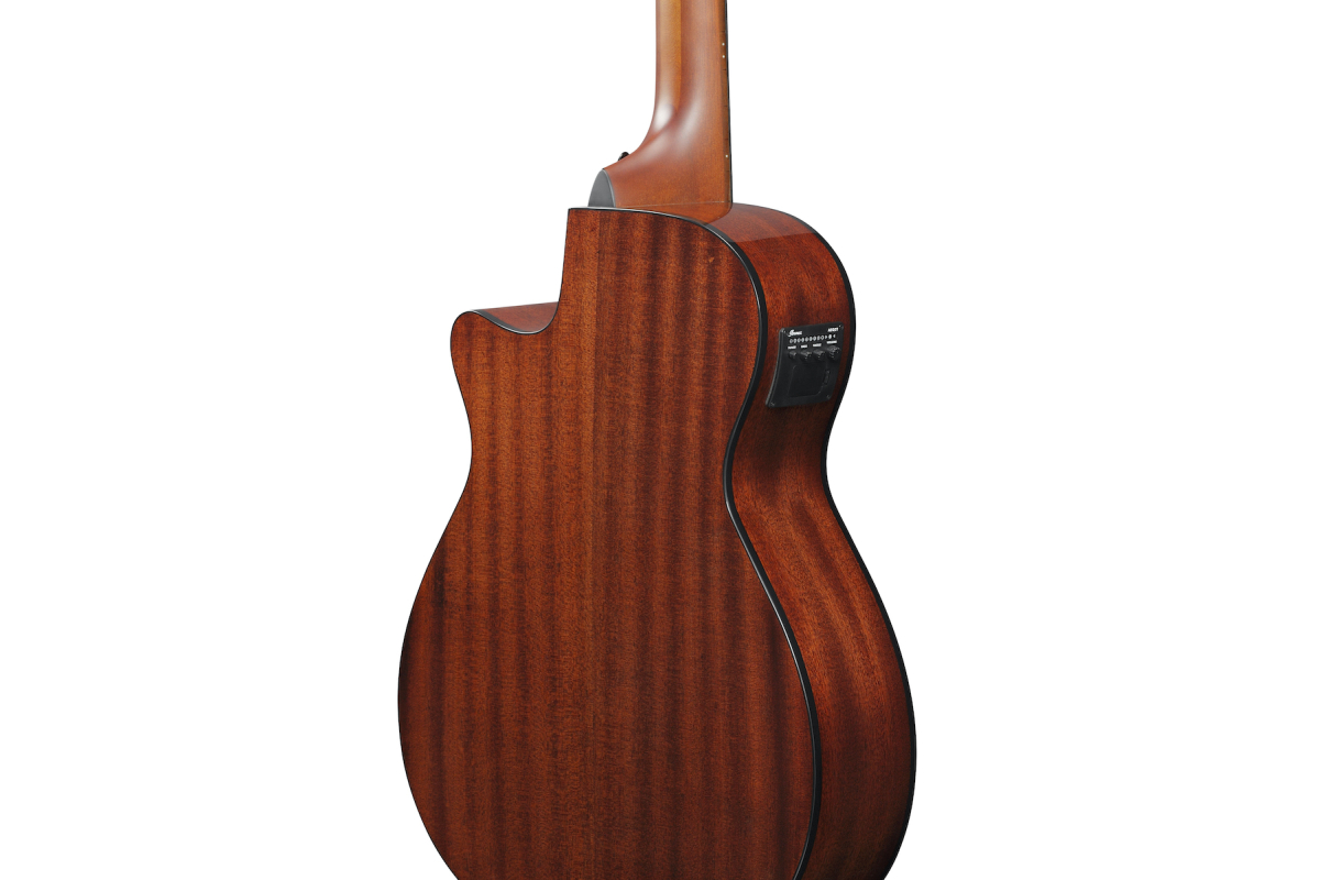 IBANEZ AEGB24E-BKH Бас-гітара акустична