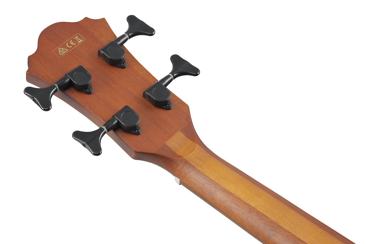 IBANEZ AEGB24E-BKH Бас-гітара акустична