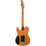 FENDER AMERICAN ACOUSTASONIC TELECASTER BLACK PAISLEY LTD Электрогитара