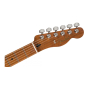 FENDER PLAYER TELECASTER LTD ROASTED MAPLE SIENNA SUNBURST Электрогитара