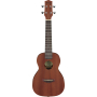  Укулеле IBANEZ UKC100-OPN