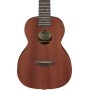  Укулеле IBANEZ UKC100-OPN