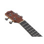  Укулеле IBANEZ UKC100-OPN