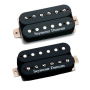 SEYMOUR DUNCAN HOT RODDED HUMBUCKER SET Набір звукознімачів