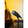 Микрофон SENNHEISER MD 421-II