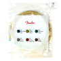 Струни для акустичних гітар FENDER 70CL