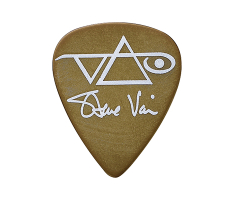 Медиатор IBANEZ 1000SVBR STEVE VAI SIGNATURE PICK Медиатор IBANEZ 1000SVBR STEVE VAI SIGNATURE PICK