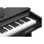 Цифровое пианино KURZWEIL M90 SR