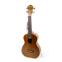 Укулеле IBANEZ UKC10