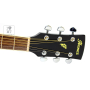 IBANEZ PF15ECE BK Гітара електроакустична