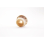Ручка потенциометра FENDER S-1 SWITCH KNOB FOR STRAT AGED WHITE