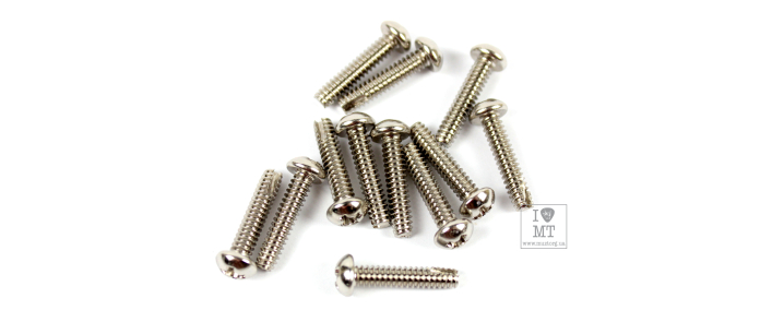 FENDER MOUNTING SCREWS FOR PICKUP/SWITCH CHROME Набор винтов