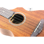 IBANEZ UEWT5 OPN Укулеле