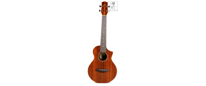 IBANEZ UEWT5 OPN Укулеле