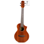 IBANEZ UEWT5 OPN Укулеле