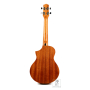 IBANEZ UEWT5 OPN Укулеле