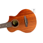 IBANEZ UEWT5 OPN Укулеле