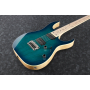 Електрогітара IBANEZ RG652AHMFX NGB