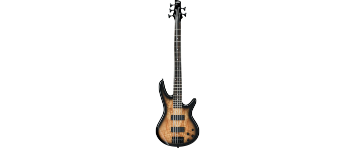 IBANEZ GSR205SM-NGT Бас-гітара