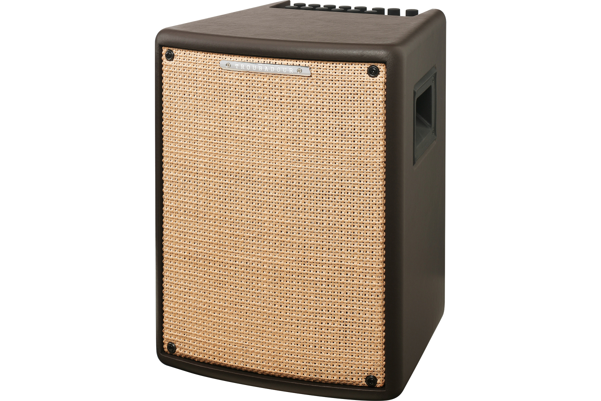 Гитарный комбоусилитель IBANEZ T80II