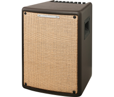 Гитарный комбоусилитель IBANEZ T80II