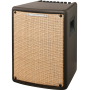 Гитарный комбоусилитель IBANEZ T80II