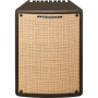 Гитарный комбоусилитель IBANEZ T80II