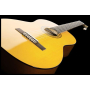 Гітара класична YAMAHA C-40