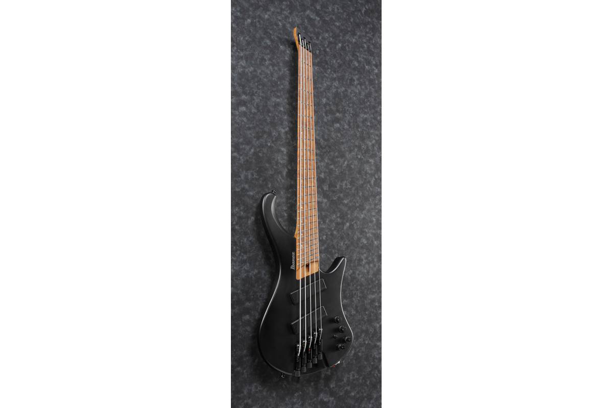Бас-гитара IBANEZ EHB1005MS BKF