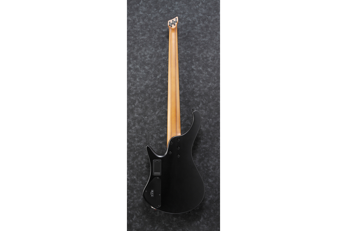 Бас-гитара IBANEZ EHB1005MS BKF
