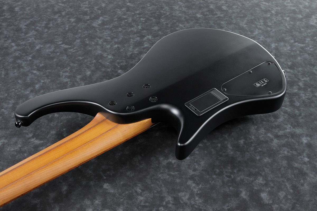 Бас-гитара IBANEZ EHB1005MS BKF