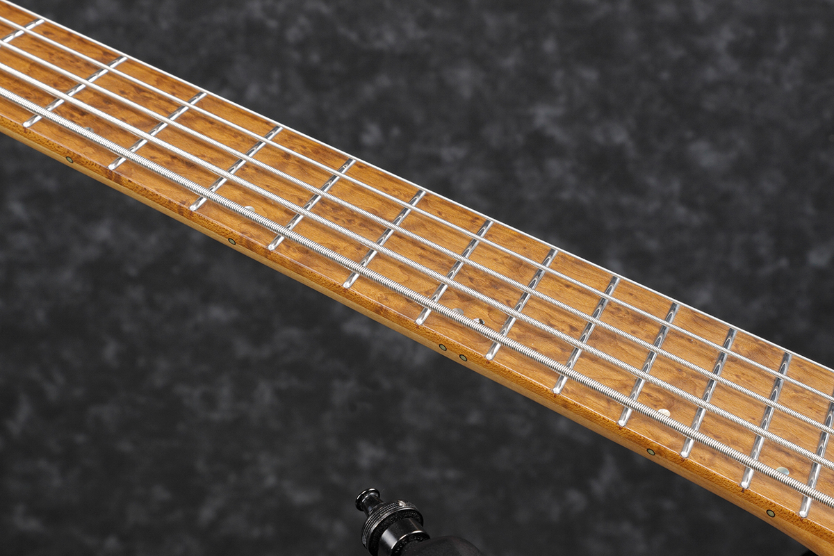Бас-гитара IBANEZ EHB1005MS BKF