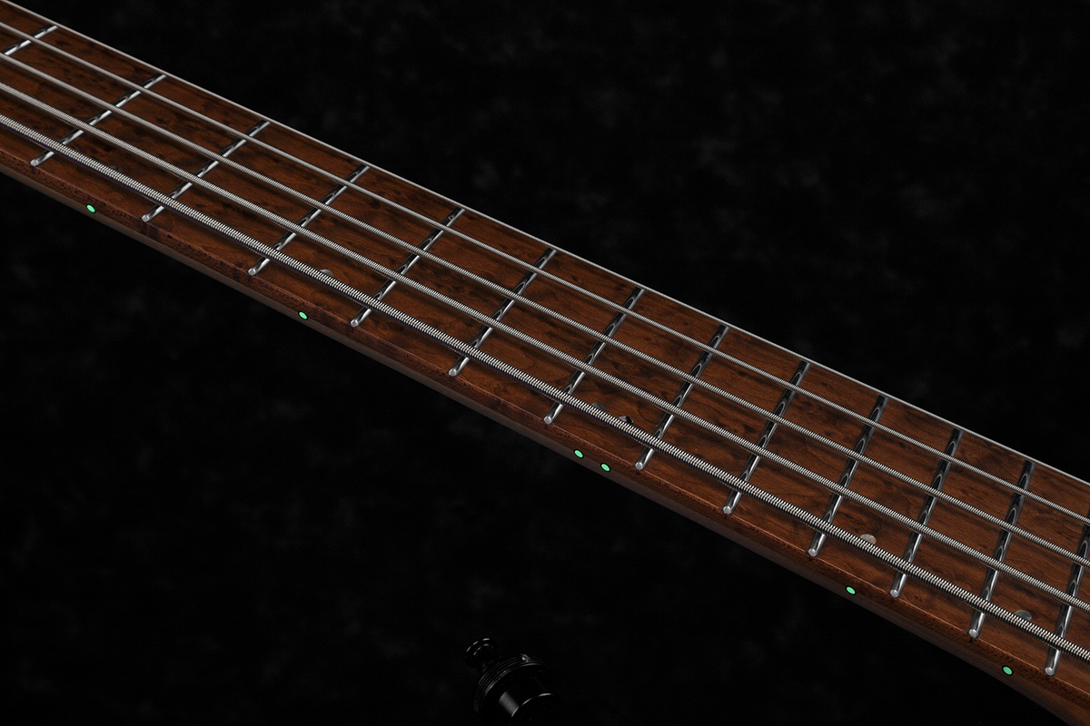 Бас-гитара IBANEZ EHB1005MS BKF