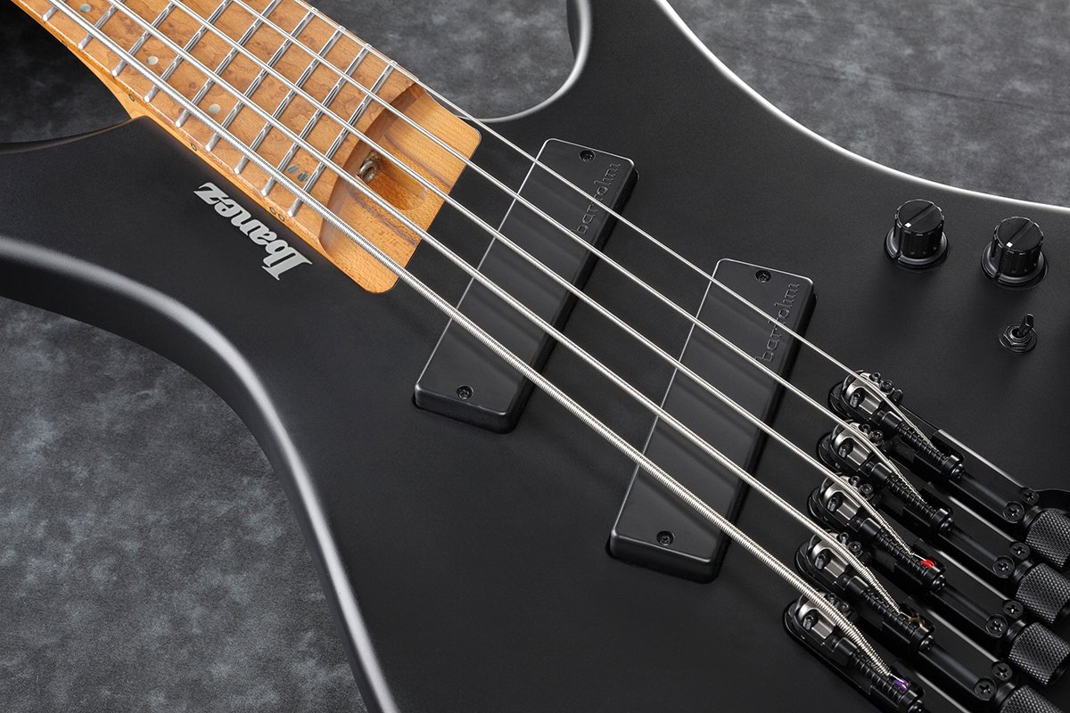 Бас-гитара IBANEZ EHB1005MS BKF