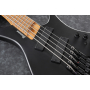 Бас-гитара IBANEZ EHB1005MS BKF