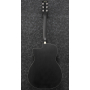 IBANEZ PC14MHCE WK Гитара электроакустическая