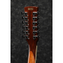 IBANEZ PF1512ECE NT Гітара електроакустична