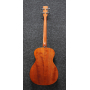 IBANEZ PCBE12 OPN Бас-гітара акустична
