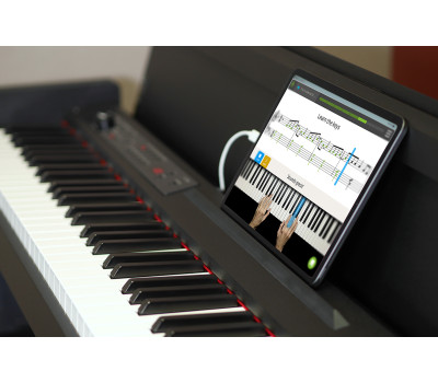 Купить KORG LP-380-BK U Цифровое пианино онлайн