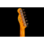 FENDER CUSTOM SHOP ARTISAN BUCKEYE BURL DOUBLE ESQUIRE CUSTOM THINLINE NOS NAMM LIMITED Електрогітара
