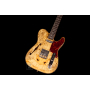 FENDER CUSTOM SHOP ARTISAN BUCKEYE BURL DOUBLE ESQUIRE CUSTOM THINLINE NOS NAMM LIMITED Електрогітара