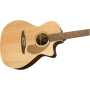 FENDER NEWPORTER PLAYER NATURAL WN Гітара електроакустична