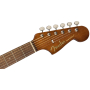 FENDER NEWPORTER PLAYER NATURAL WN Гітара електроакустична