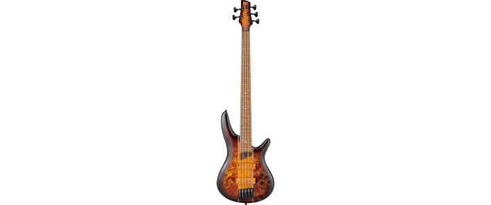 IBANEZ SR5PBLTD DEL Бас-гитара