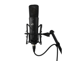Микрофон WARM AUDIO WA-87 R2B
