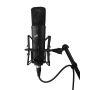 Микрофон WARM AUDIO WA-87 R2B