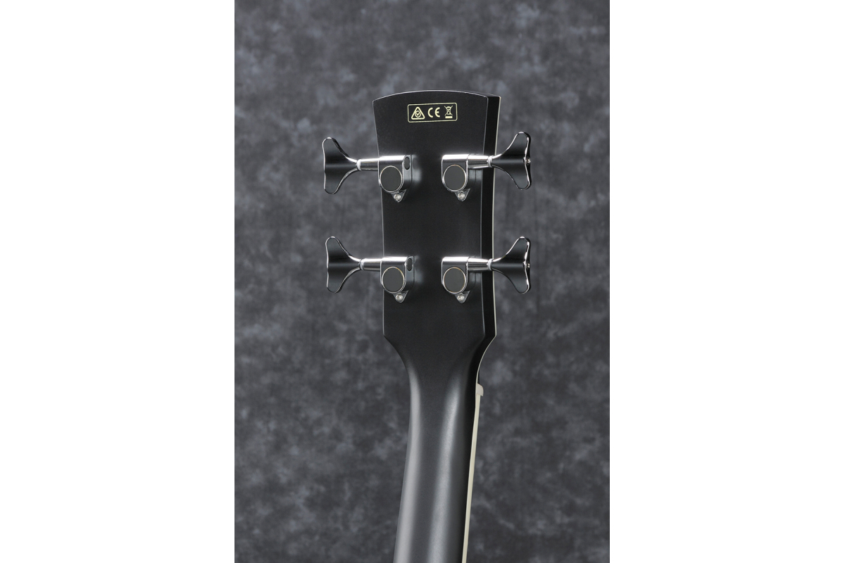 Бас-гітара акустична IBANEZ PCBE14MH WK